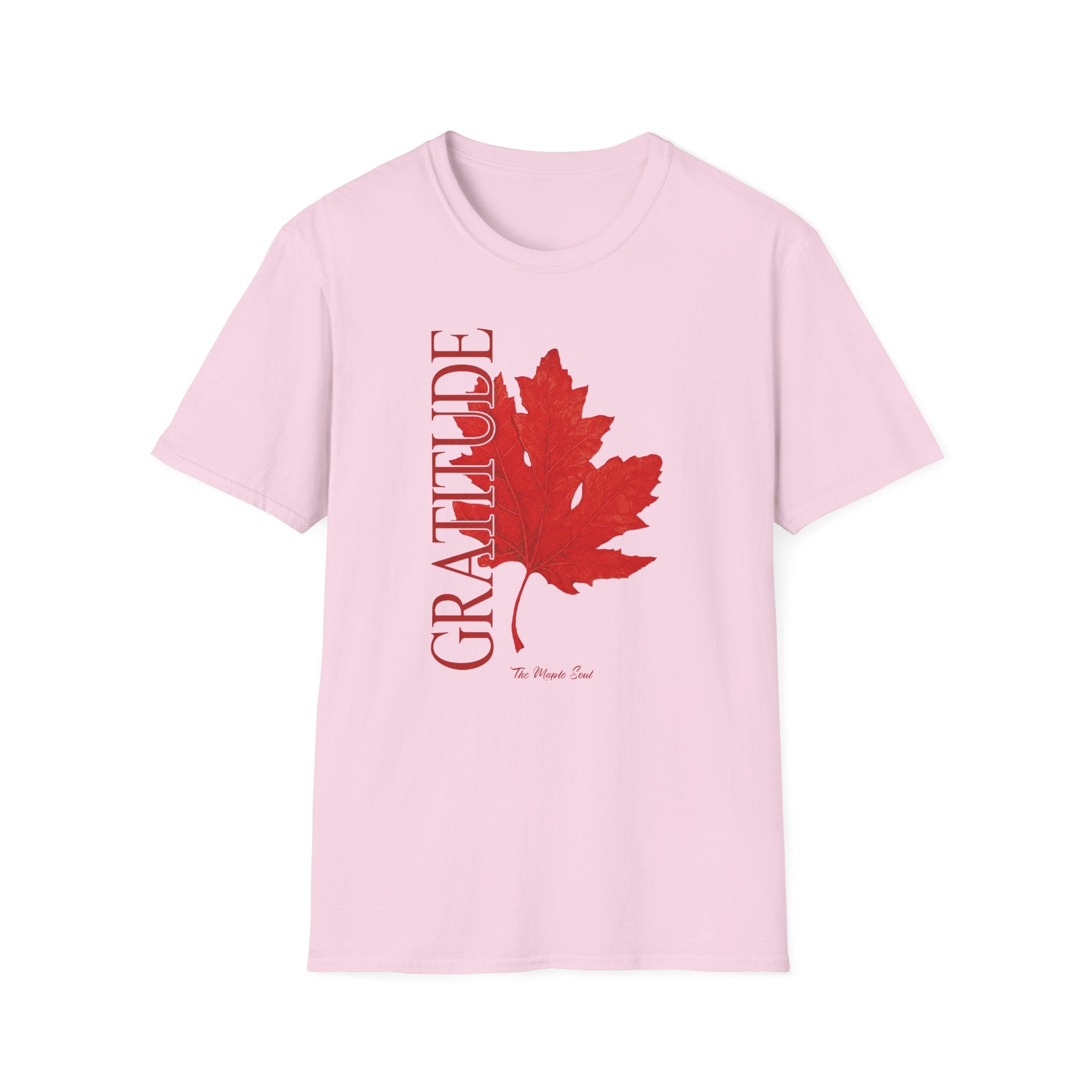 Gratitude T-Shirt